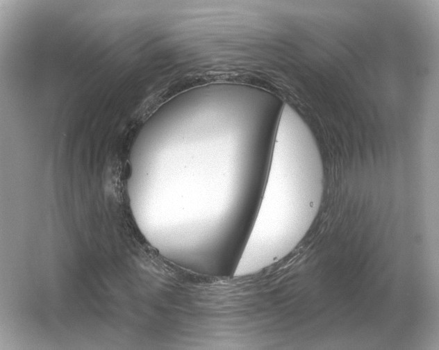 X0000066530867200603171027