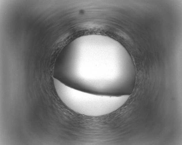 X0000066530869200603171027