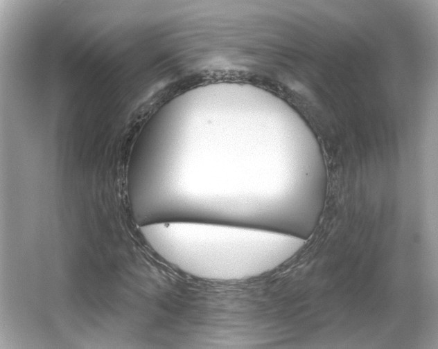 X0000066530870200603171027