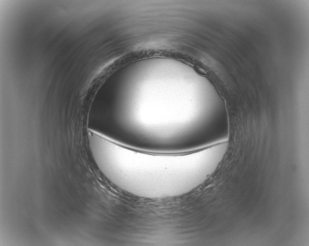 X0000066530872200603171027
