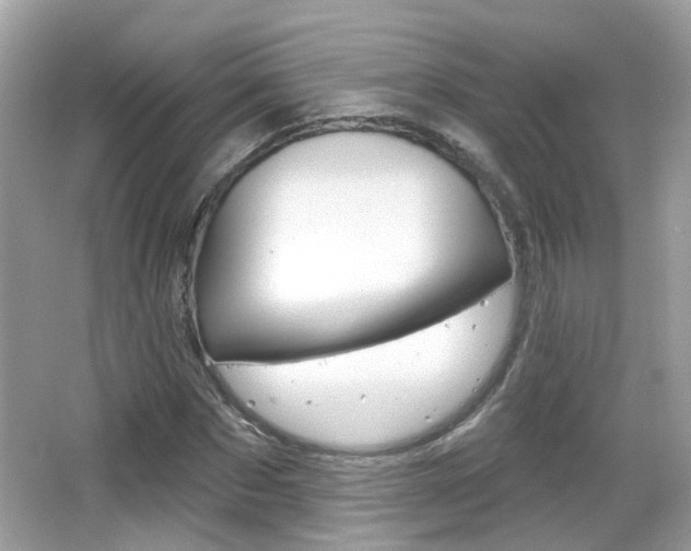 X0000066530873200603171027
