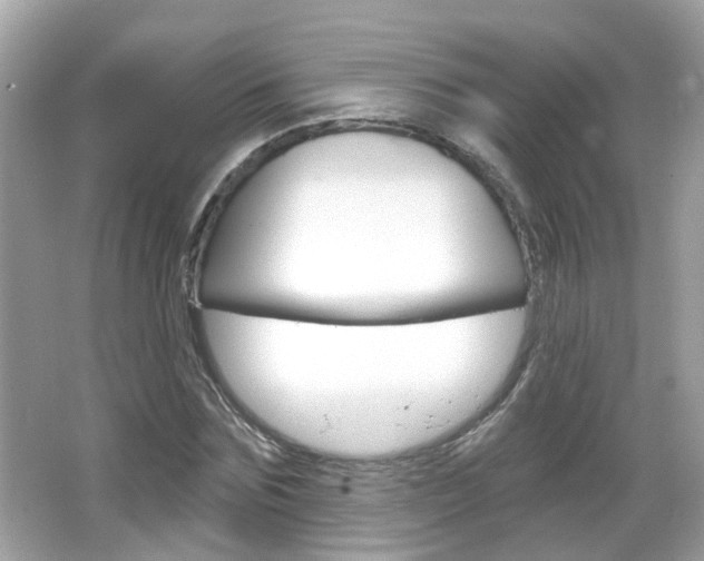 X0000066530875200603171026