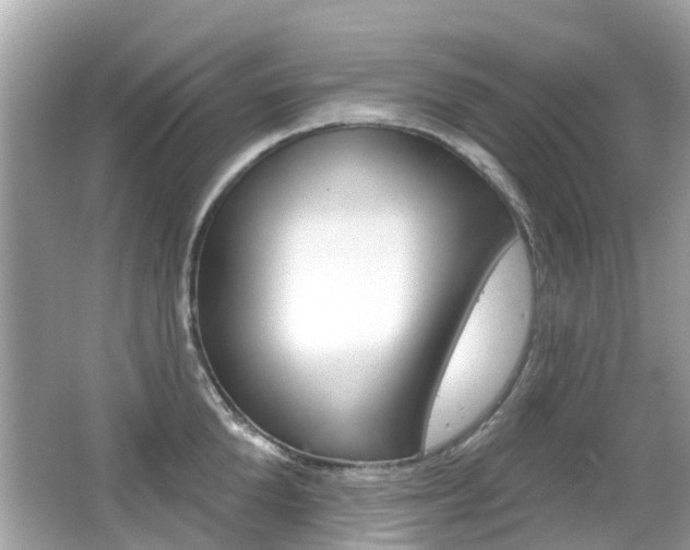 X0000066530904200603171026
