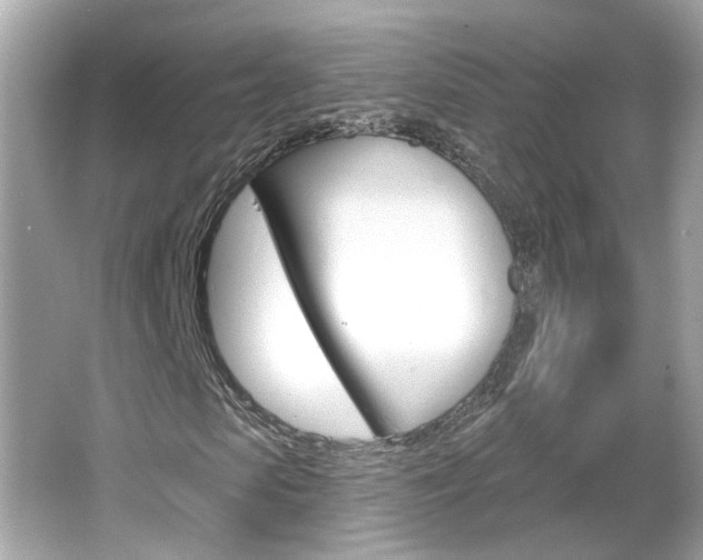 X0000066530913200603171025