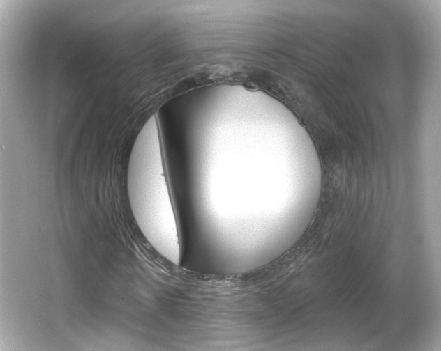X0000066530914200603171025
