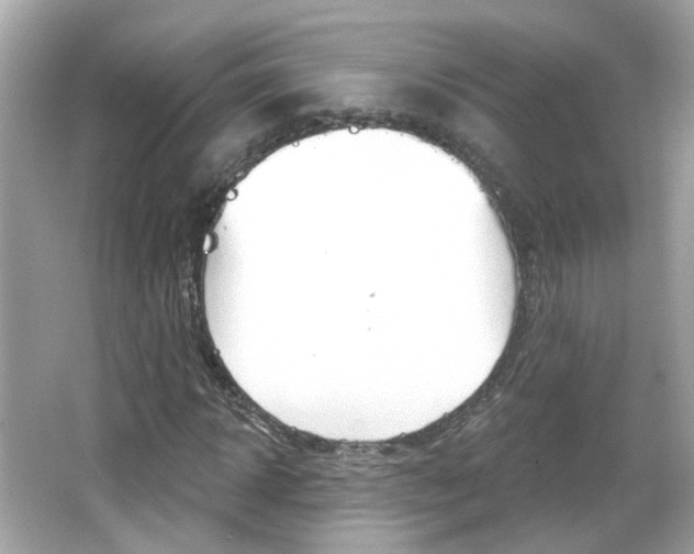 X0000066530918200603171025