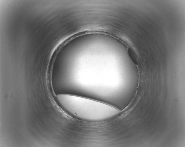 X0000066530928200603171025