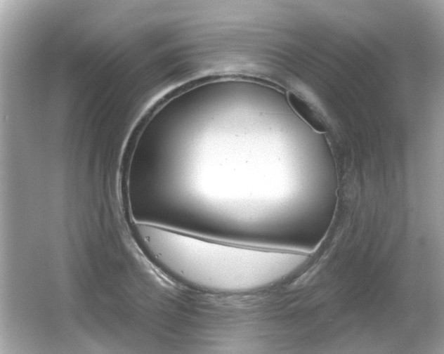 X0000066530932200603171025