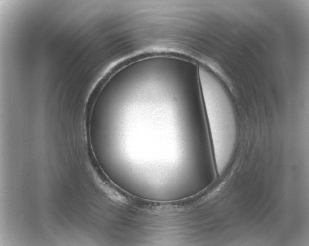 X0000066530934200603171025