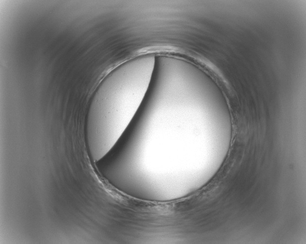 X0000066530937200603171025