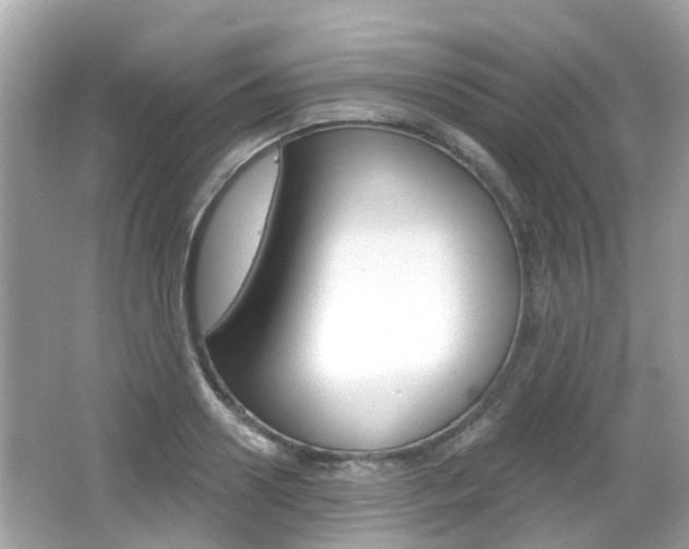 X0000066530938200603171025
