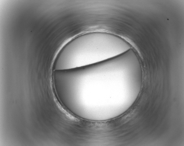 X0000066530941200603171026