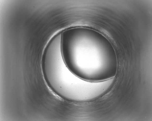 X0000066530942200603171026