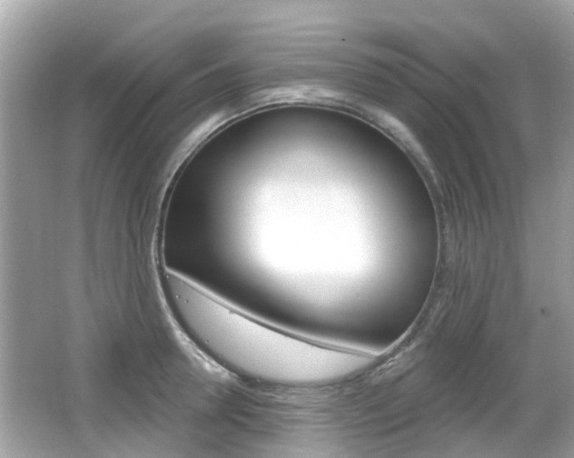 X0000066530946200603171026