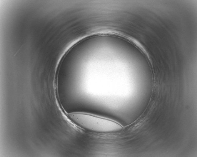 X0000066530951200603171026