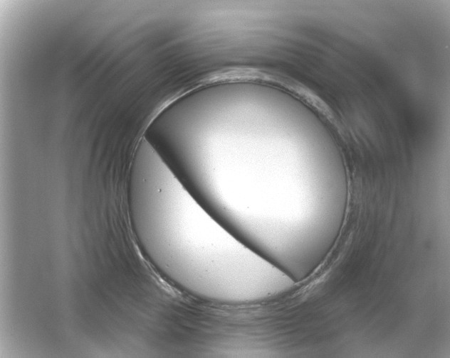X0000066530953200603171026
