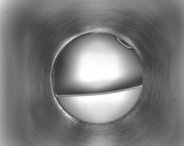 X0000066530959200603171026