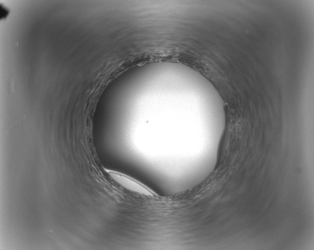 X0000066530961200603171025