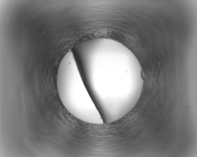 X0000066530962200603171025