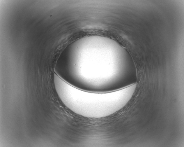 X0000066530965200603171025