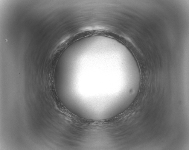 X0000066530967200603171025