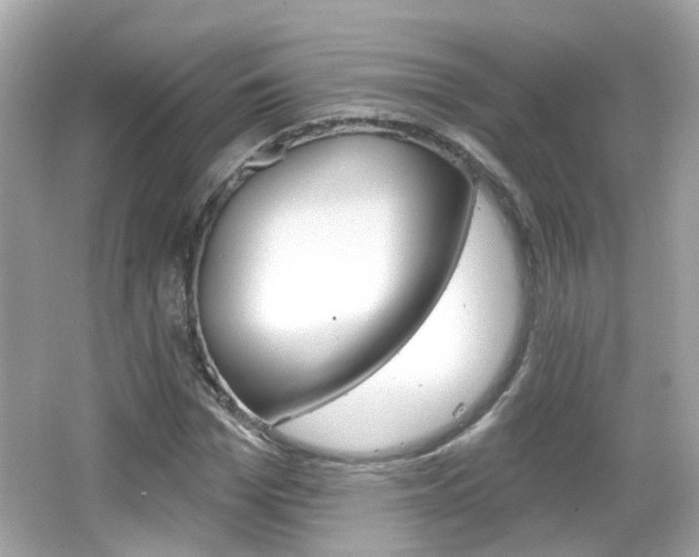 X0000066530969200603171025