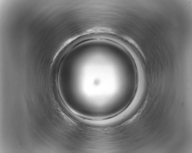 X0000066530973200603171025