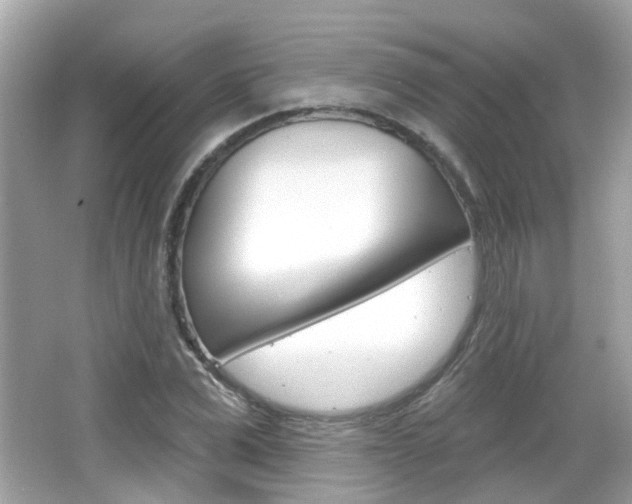 X0000066530975200603171025