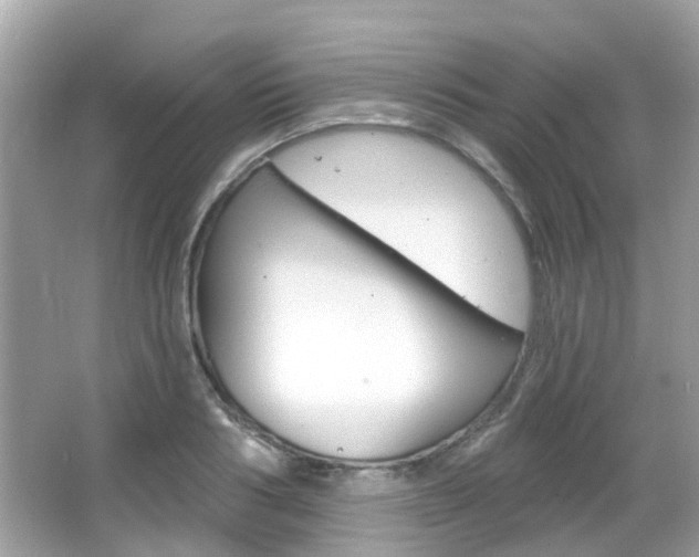 X0000066530986200603171025