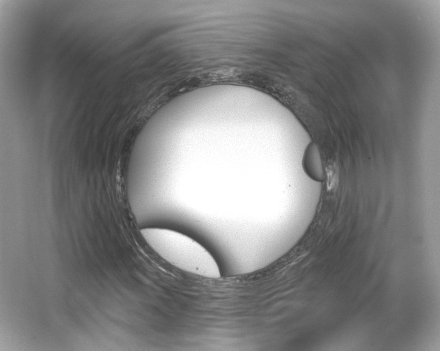 X0000066531011200603171023