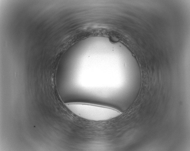 X0000066531013200603171024
