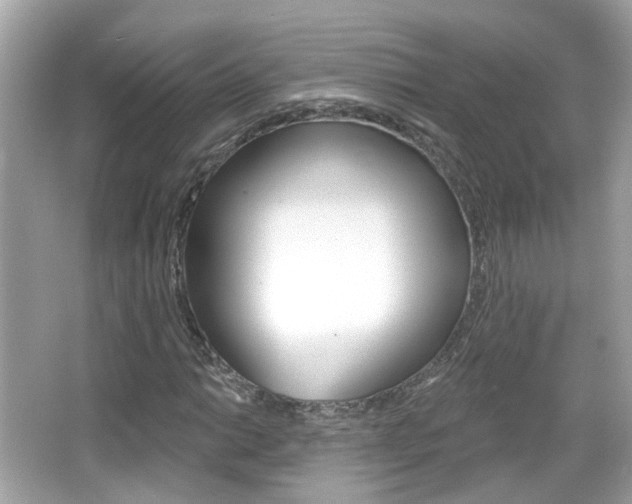 X0000066531014200603171024