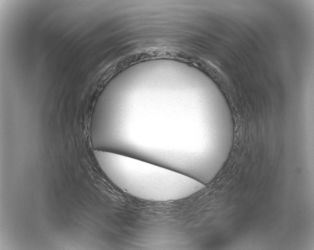 X0000066531015200603171024