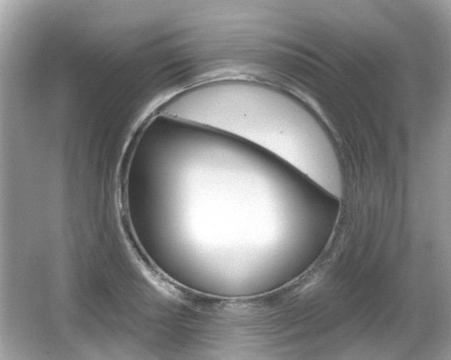 X0000066531034200603171024