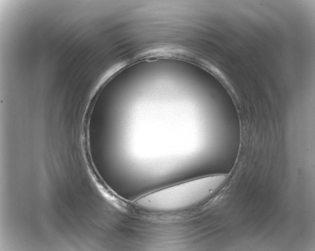 X0000066531042200603171024