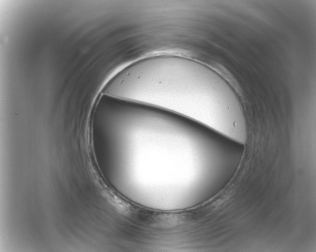 X0000066531044200603171024