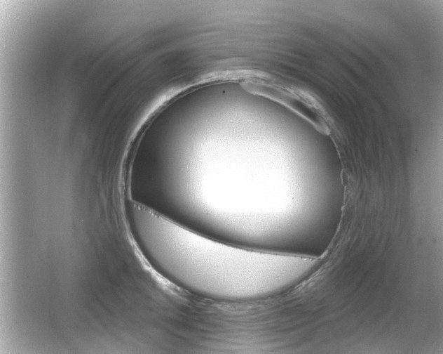 X0000066531046200603171024