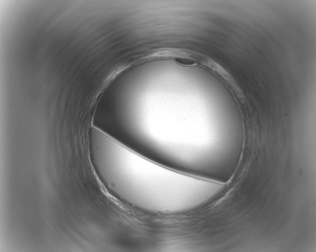X0000066531049200603171024