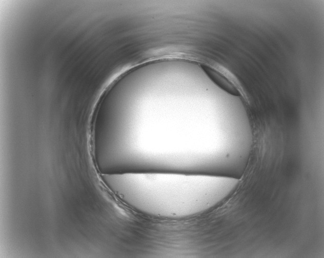 X0000066531051200603171024