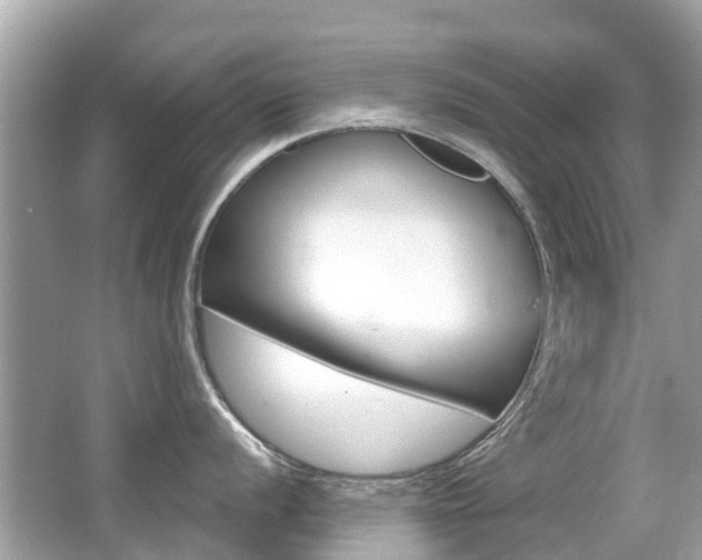 X0000066531056200603171024