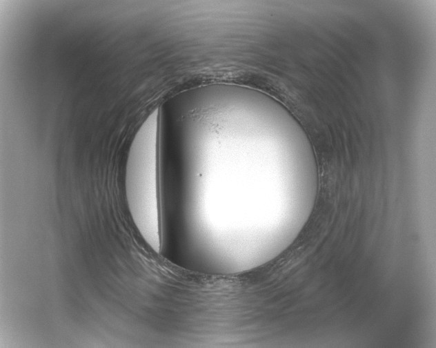 X0000066531058200603171023