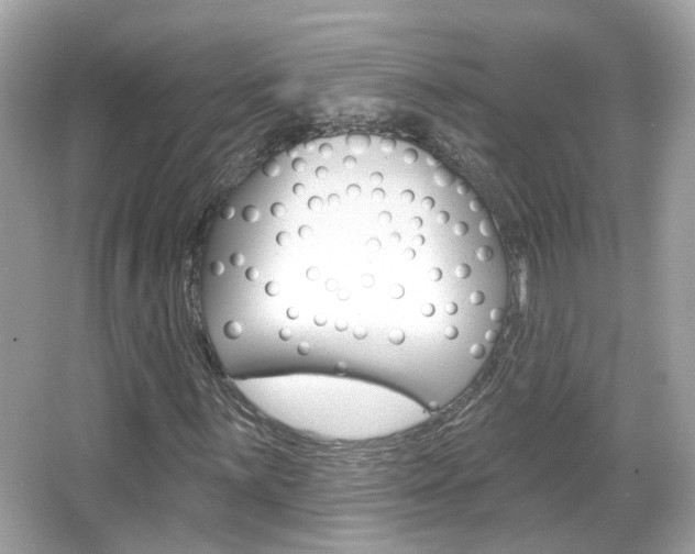X0000066531059200603171023