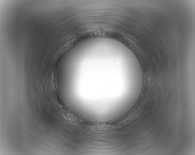 X0000066531060200603171023