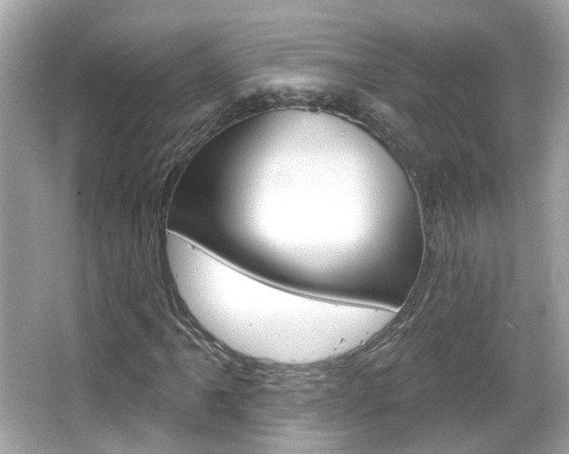 X0000066531061200603171023