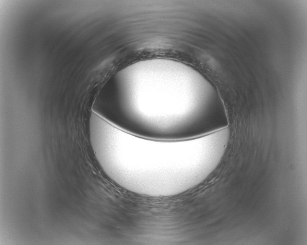 X0000066531062200603171023