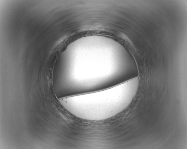 X0000066531064200603171023