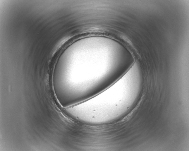 X0000066531066200603171023