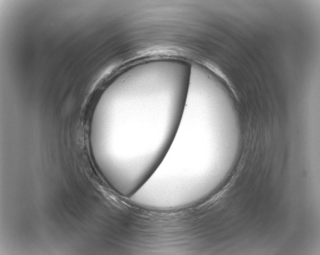 X0000066531067200603171023