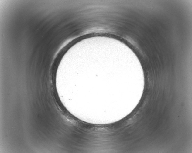 X0000066531070200603171023