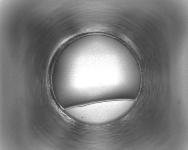 X0000066531072200603171023